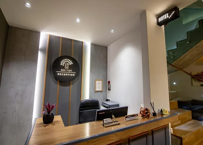 Tree 4* Κορυτσά