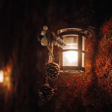 Tree Hotel